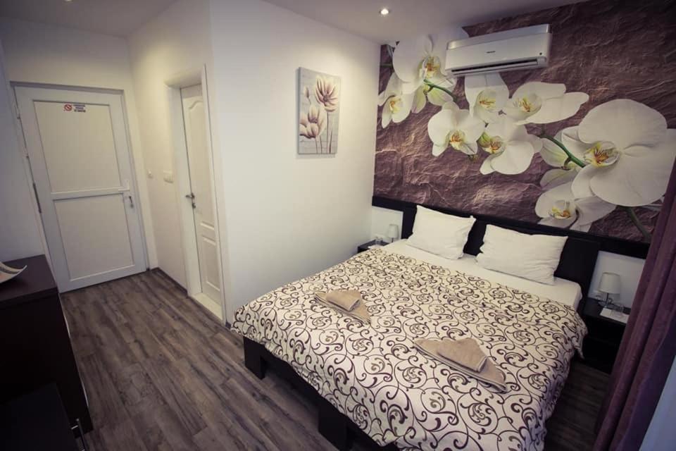 Apartment & Zaad